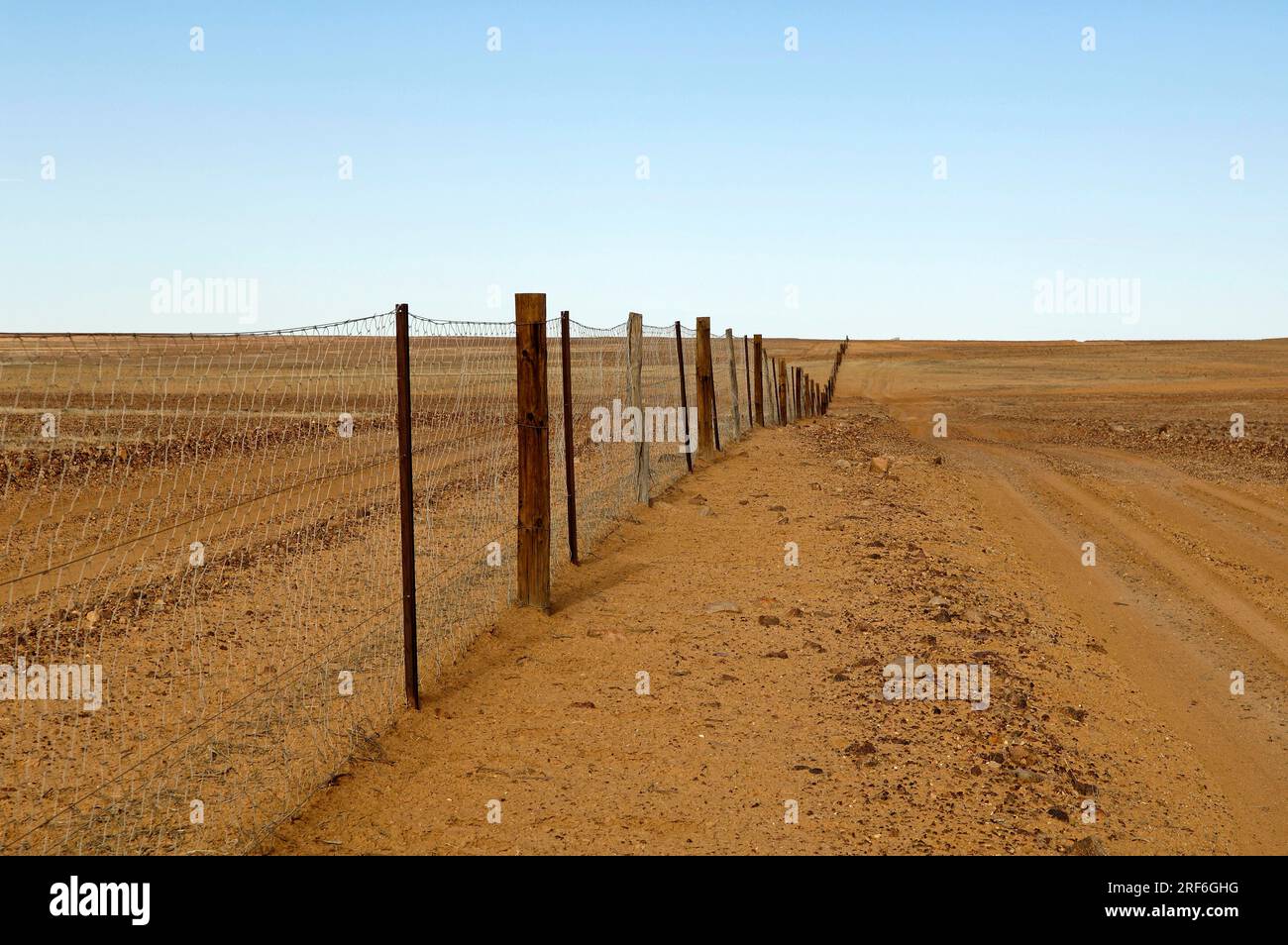 Dingo Fence, Australia meridionale, Australia Foto Stock