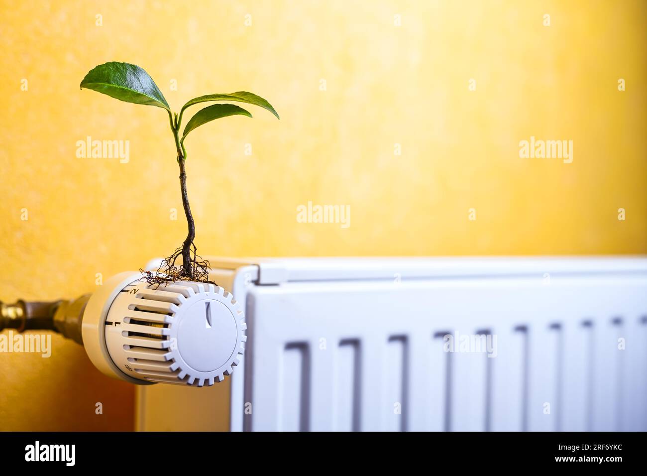 Pflanze wächst aus einem Heizungsthermostat, Symbolfoto für nachhaltiges Heizen und Klimaschutz Foto Stock