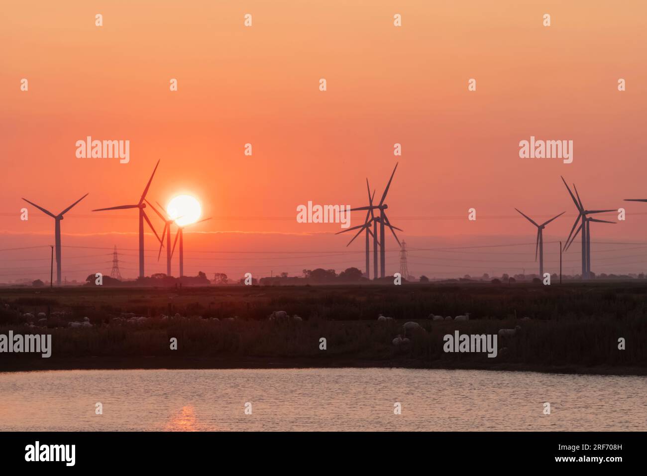 Inghilterra, Kent, Romney Marsh, Sunrise e Onshore Wind Turbines Foto Stock