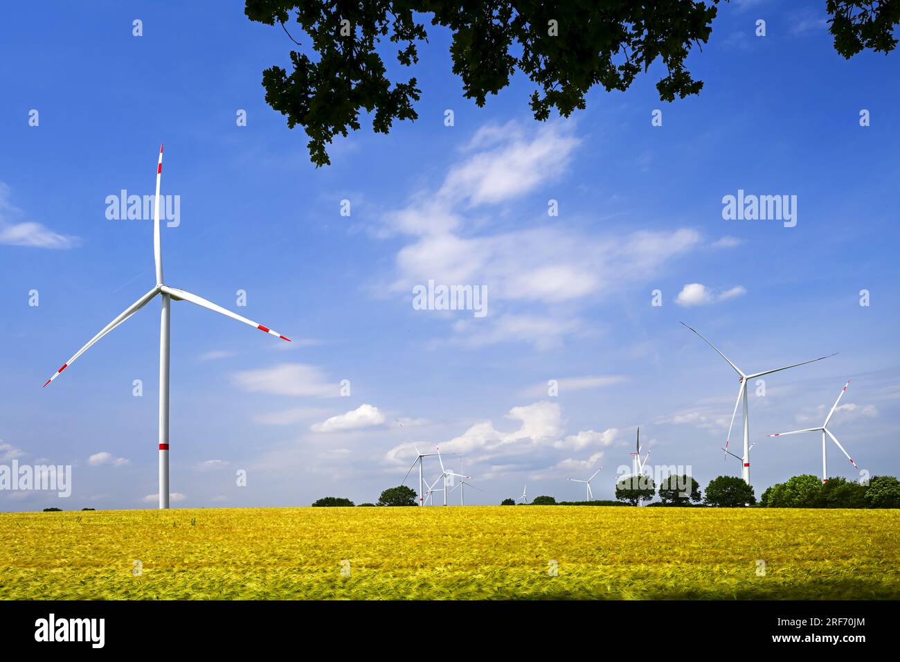 Windräder des Windparks Kesdorf in Schleswig-Holstein, Deutschland Foto Stock