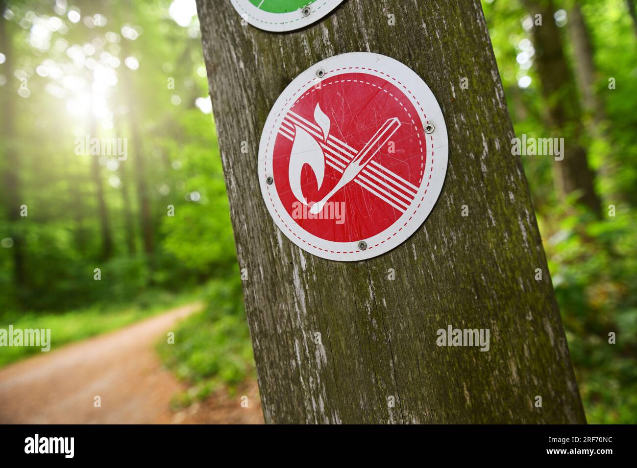 Verbotsschild an einem Waldgebiet a Scharbeutz, Schleswig-Holstein, Symbolfoto Waldbrandgefahr Foto Stock