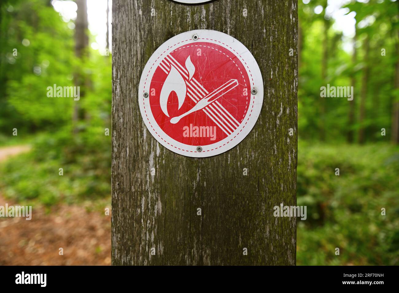 Verbotsschild an einem Waldgebiet a Scharbeutz, Schleswig-Holstein, Symbolfoto Waldbrandgefahr Foto Stock