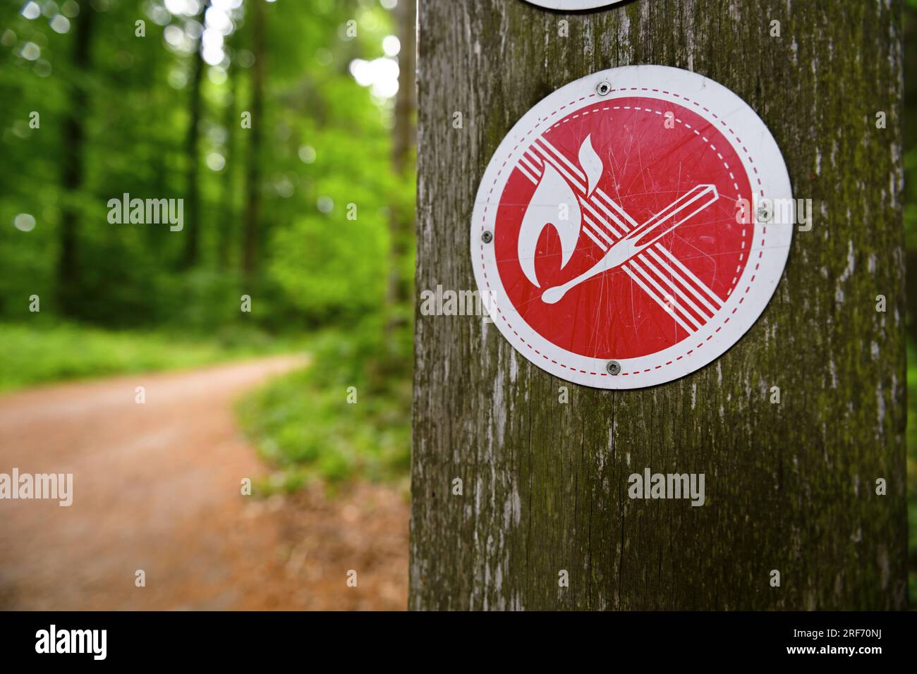 Verbotsschild an einem Waldgebiet a Scharbeutz, Schleswig-Holstein, Symbolfoto Waldbrandgefahr Foto Stock