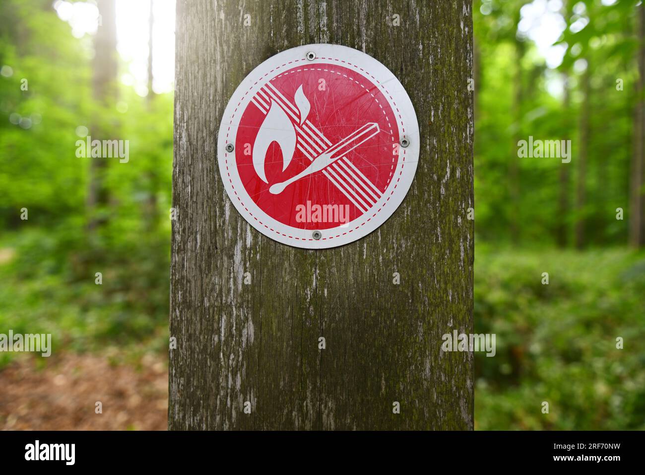 Verbotsschild an einem Waldgebiet a Scharbeutz, Schleswig-Holstein, Symbolfoto Waldbrandgefahr Foto Stock