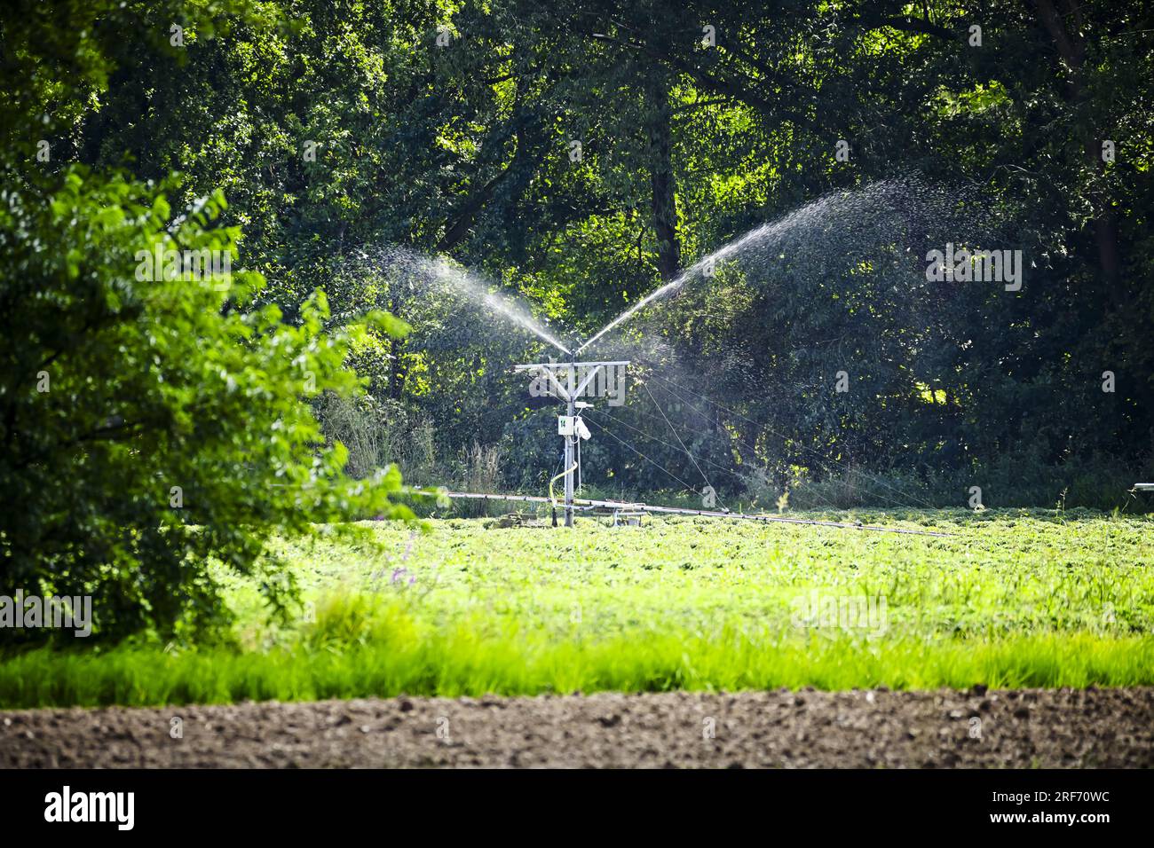 Bewässerung eines Feldes a Kirchwerder, Amburgo, Deutschland Foto Stock