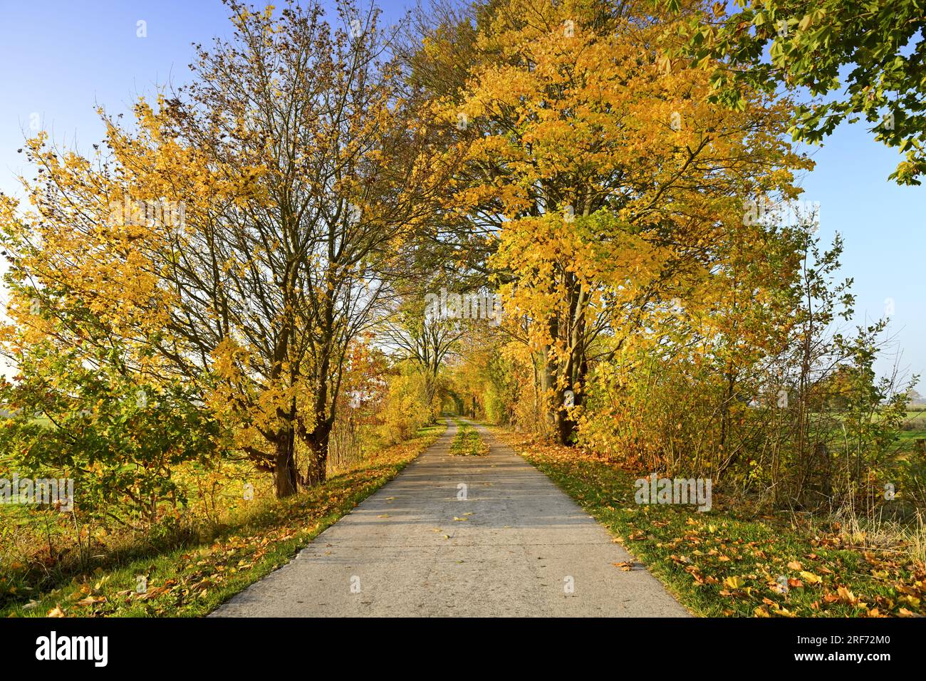 Naturschutzgebiet Kirchwerder Wiesen, Kirchwerder Marschbahndamm und Elberadweg in Kirchwerder, Amburgo, Germania Foto Stock