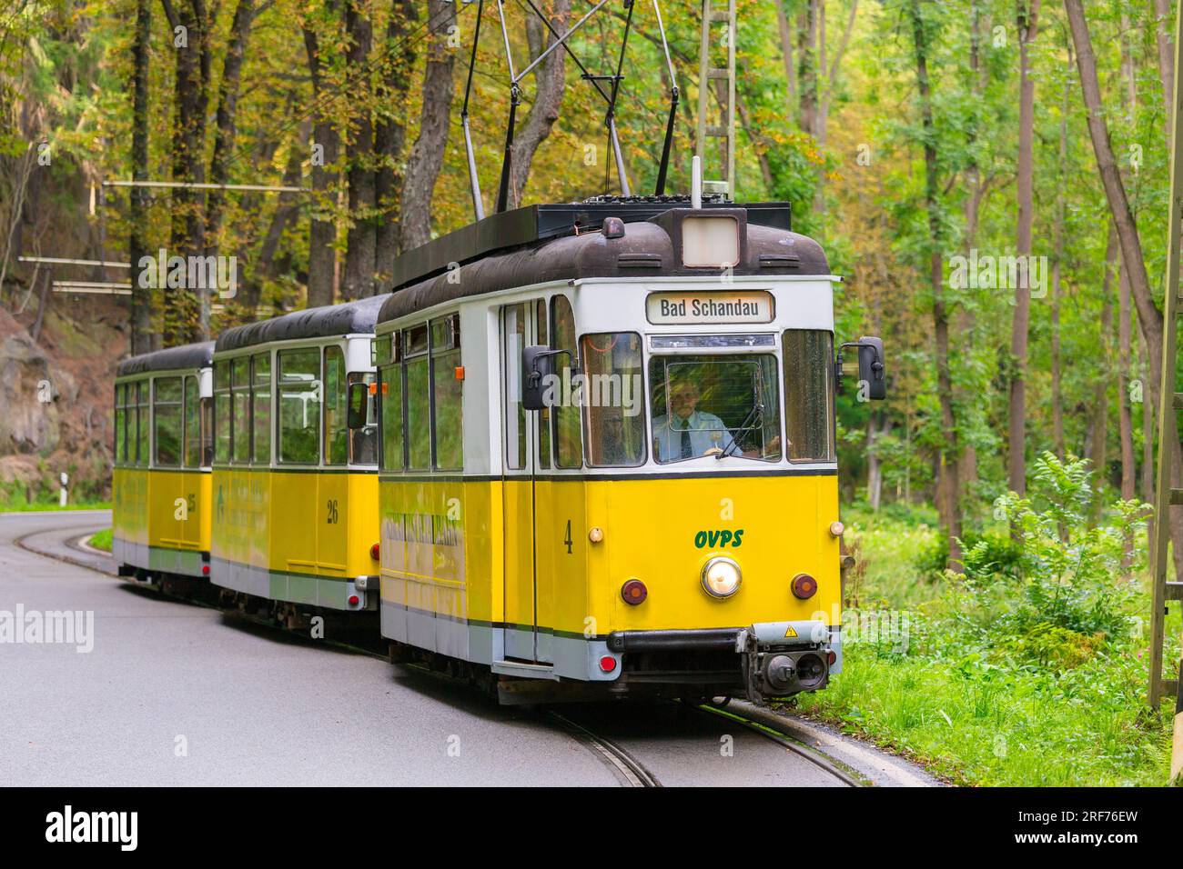 Kirnitzschtalbahn, Kirnitzschtal, Bad Schandau, Sächsische Schweiz, Sachsen, Deutschland, Strassenbahn, Foto Stock