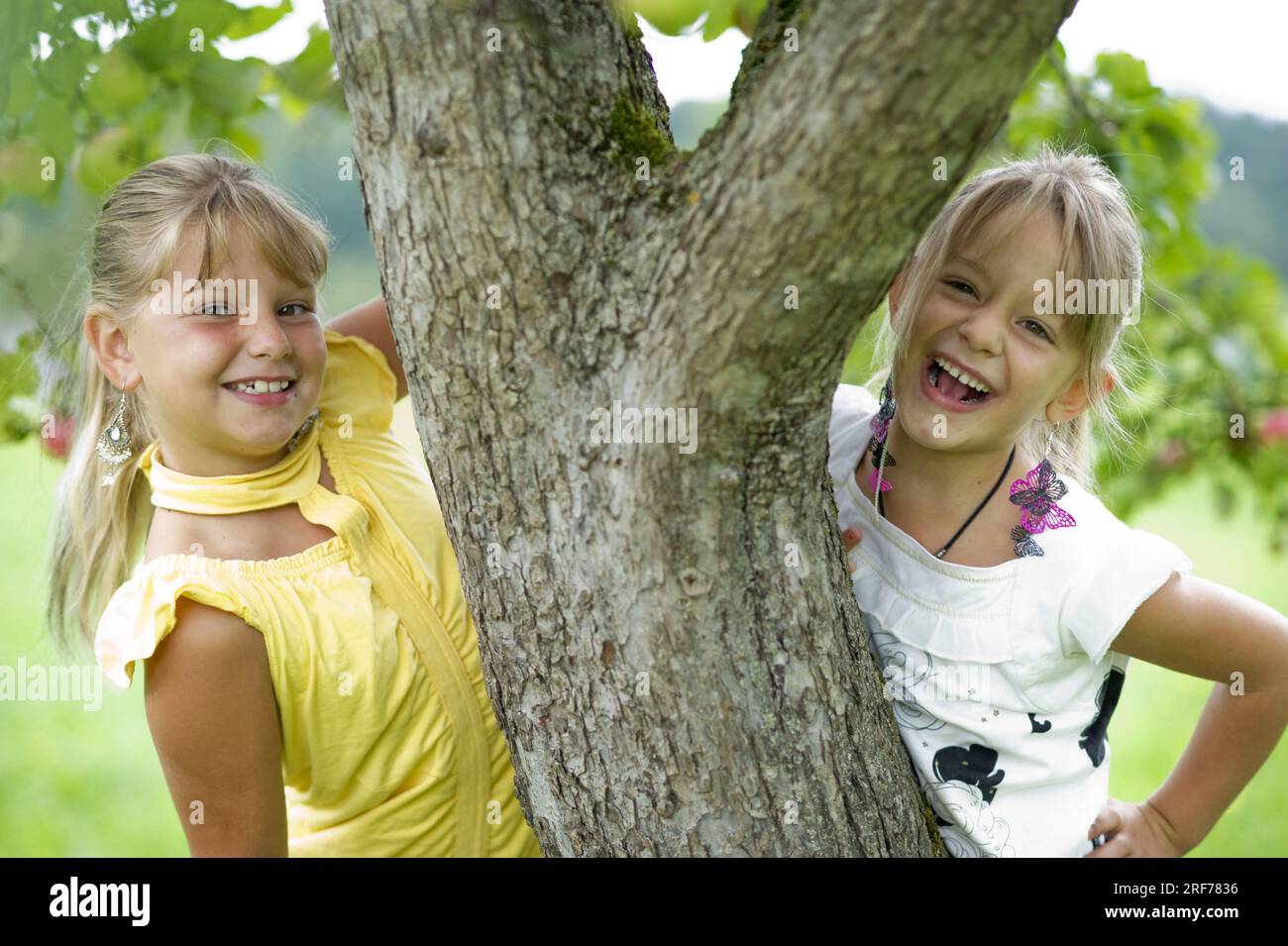 Zwei bionda fröhliche Mädchen unter einem Apfelbaum, 7 Jahre alt, lachen vergnügt in Die Kamera, Park, Garten, Obstgarten, Foto Stock