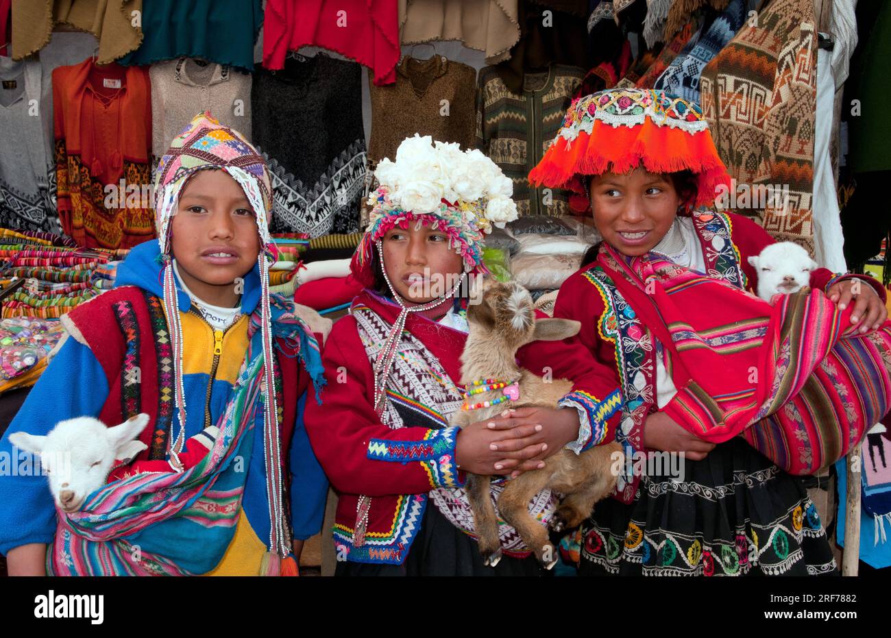 Zwei Mädchen und ein Junge in landesüblicher Tracht, Pisaq, Pisac, Bergfeste in Perù, Inkas, Perù, lama, Alpaka, Lama, Alpakas, Tierbabys, Foto Stock