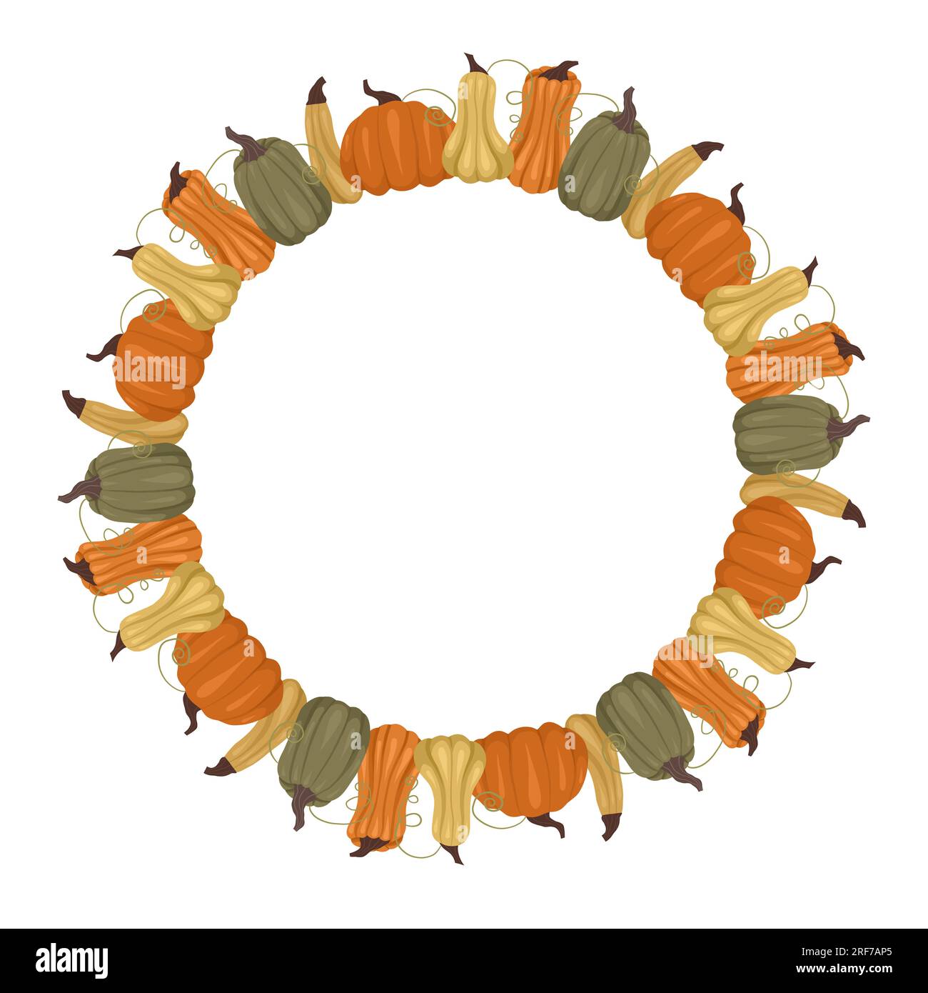 Cornice vettoriale rotonda di zucche verdi, grigie, arancioni e gialle e spazio per il testo. Modello per il Ringraziamento con verdure e spazio per la copia. Confine con l'azienda agricola Illustrazione Vettoriale