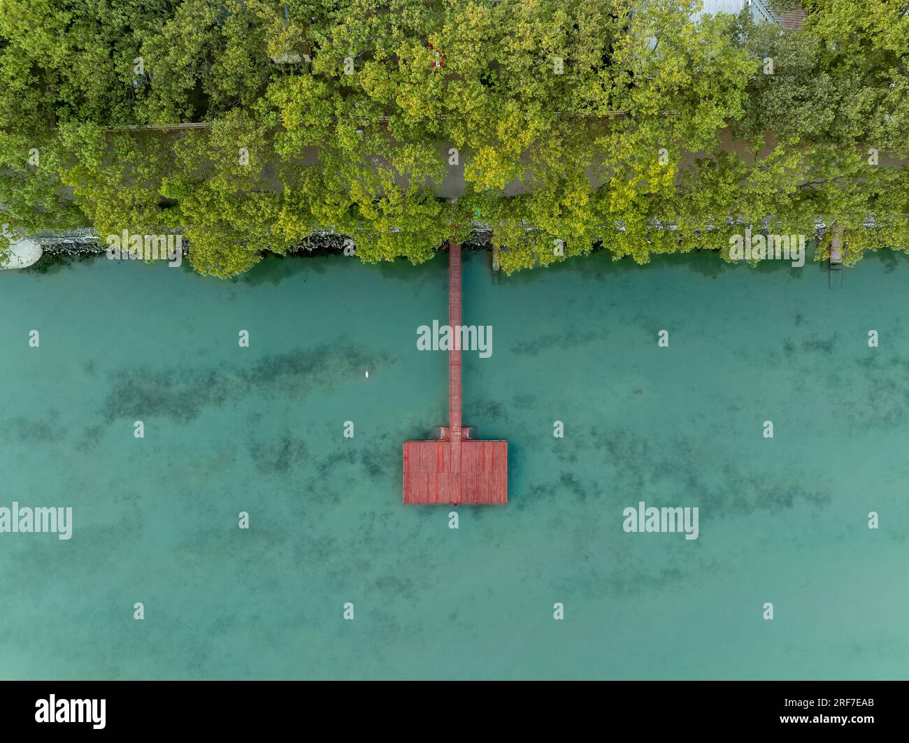 Un molo rosso su un lago cristallino verde. Ci sono alberi sulla costa. Foto Stock