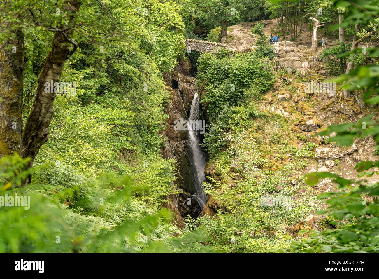 Wasserfall Aira Force im Lake District, England, Großbritannien, Europa | Aira Force Waterfall Lake District, England, United Kingdom of Great Bri Foto Stock
