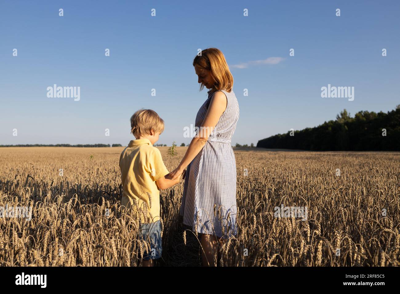 madre e figlio che si tengono per mano si trovano tra le spikelets in un campo di grano. godetevi la natura e la vita, insieme. Giornata della Terra. Ferma la guerra in Ucraina. Indietro vie Foto Stock