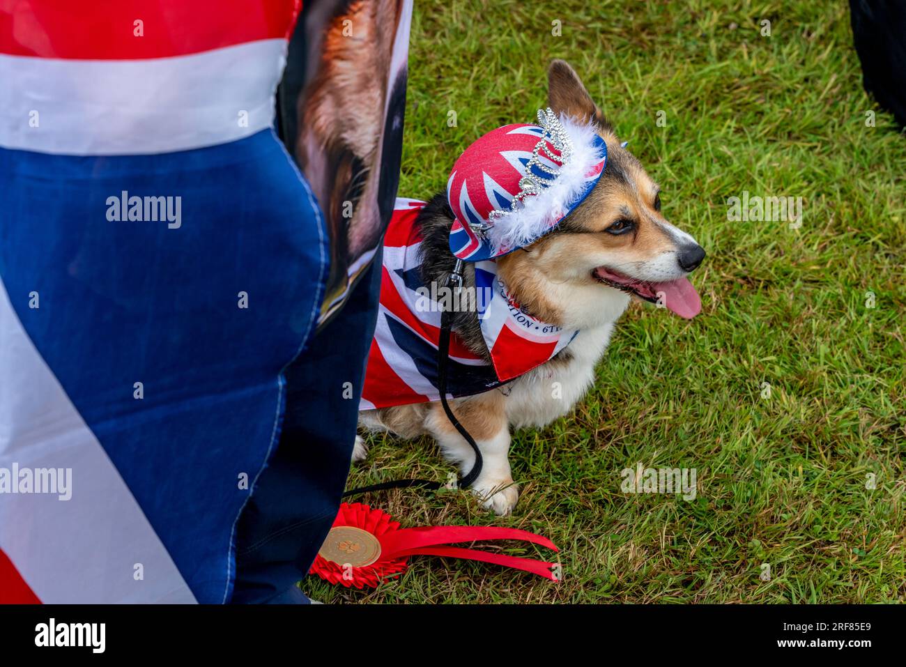 A Dog Owner e Dog prendono parte al concorso "A Dog That Is Most Like Their Owner" al Fairwarp Village Fete, Fairwarp, East Sussex, Regno Unito Foto Stock