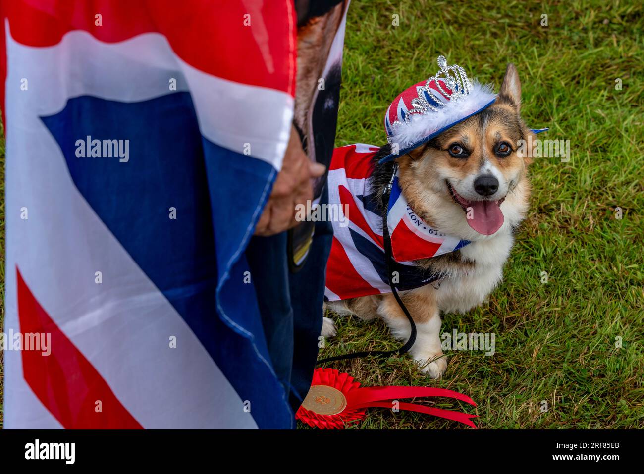 A Dog Owner e Dog prendono parte al concorso "A Dog That Is Most Like Their Owner" al Fairwarp Village Fete, Fairwarp, East Sussex, Regno Unito Foto Stock