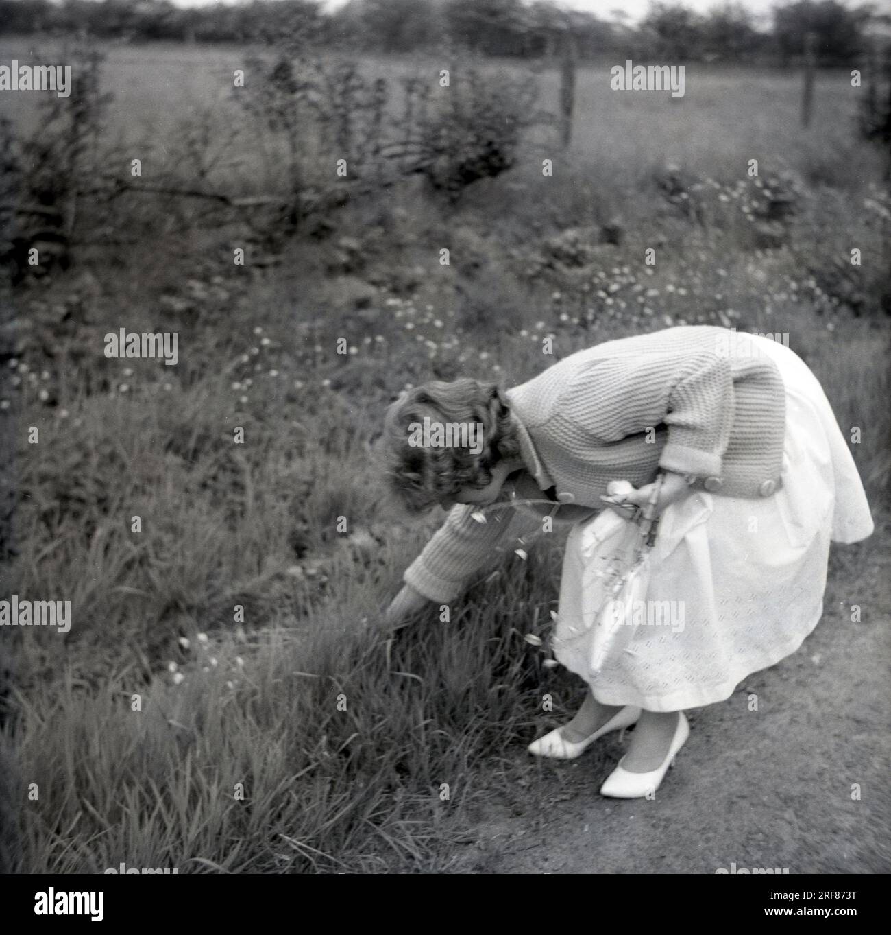 Anni '1950, storica, una giovane donna con un abito estivo dell'epoca e cardigan di lana, all'aperto su una strada di campagna che si piega verso il basso per raccogliere fiori selvatici, Inghilterra, Regno Unito. Foto Stock