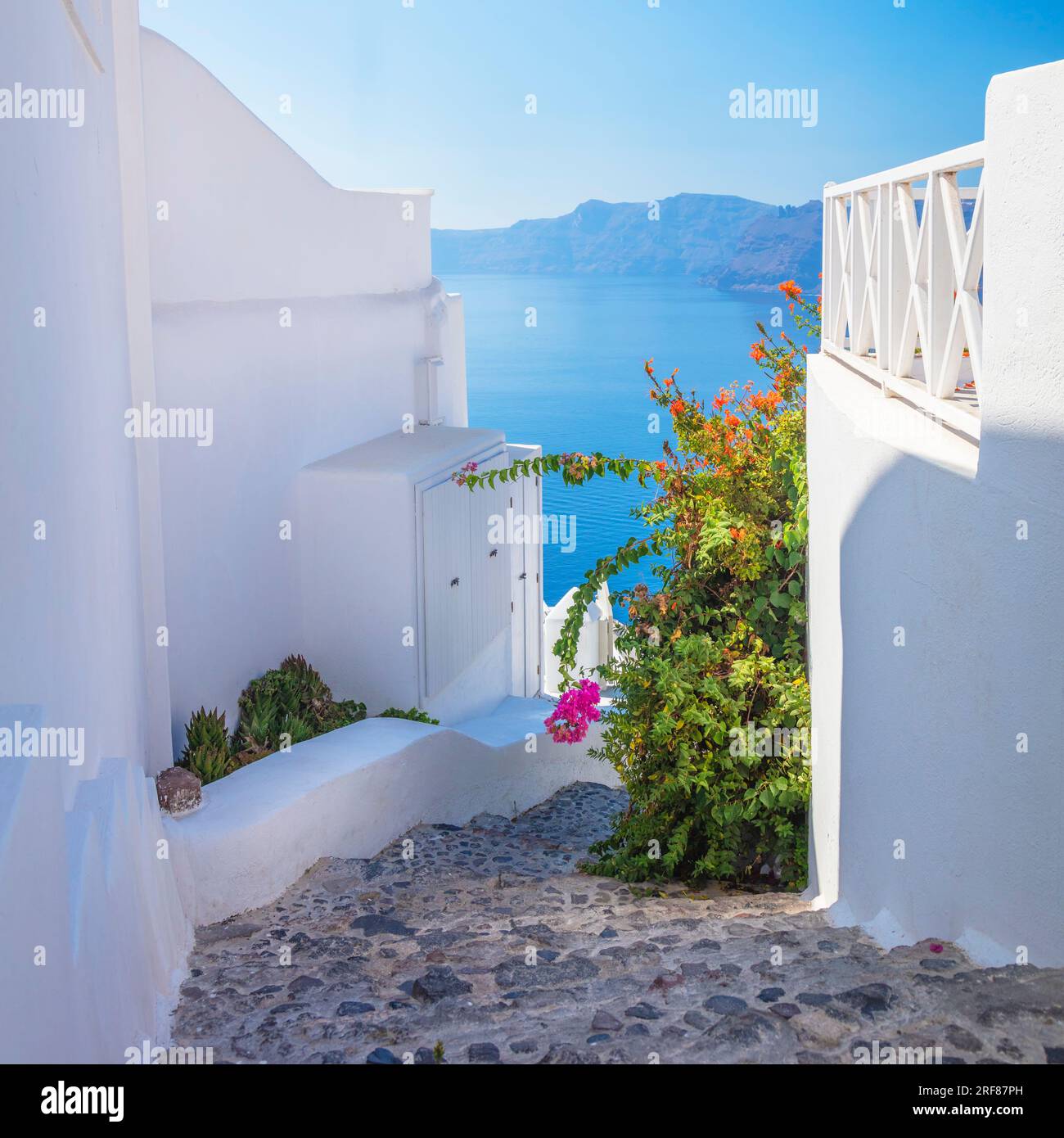 Grecia, isola di Santorini, Oia - architettura bianca di una stretta strada con fiori, scalini che conducono al mare. Isole greche, Santorini, vacanza europea Foto Stock