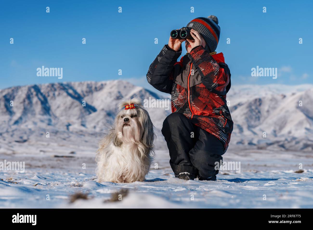 Bambino con binocolo e cane shih tzu in posa sullo sfondo delle montagne in inverno Foto Stock