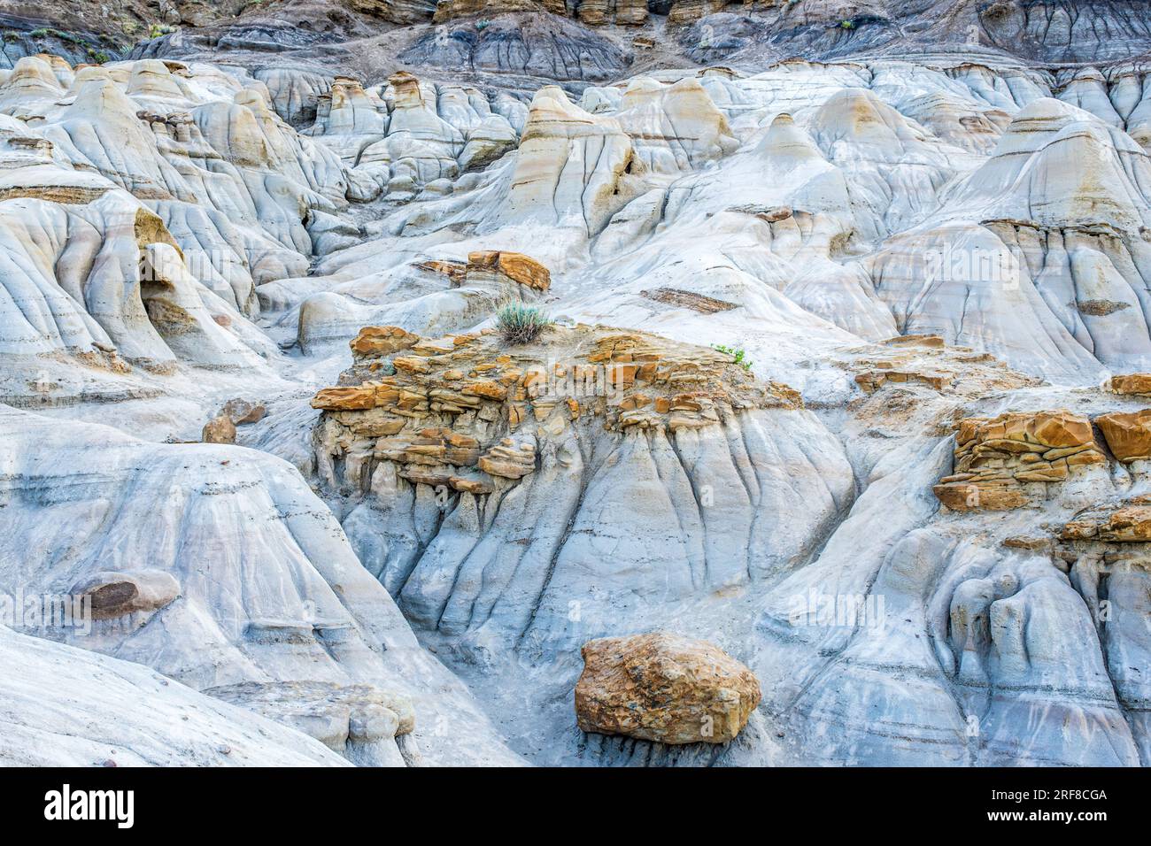 Le Badlands sono una popolare destinazione turistica a Drumheller, Alberta, grazie alle formazioni di arenaria che si sono formate a causa dell'erosione Foto Stock