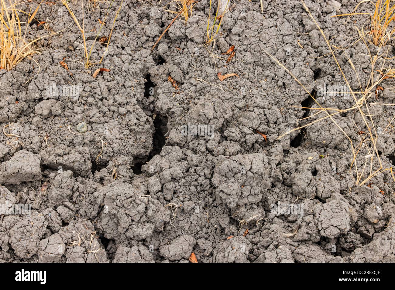 Crepe nel terreno asciutto dei campi agricoli a causa della siccità nelle calde estate, in Germania. Foto Stock