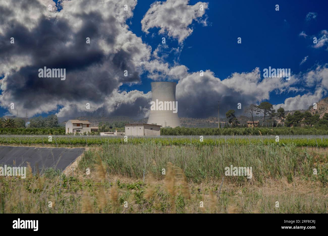 Centrale nucleare sul Rio Ebro, in Spagna, con una torre di raffreddamento in un bellissimo paesaggio Foto Stock