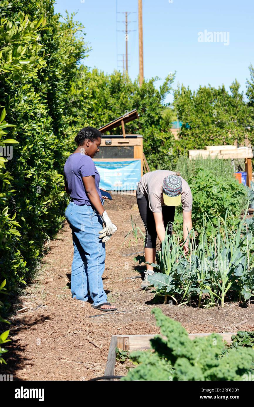 (L-R) il volontario Erin Webbs e il co-fondatore Madison Jaschke al SOW Collective di Arleta, California, il 12 marzo 2022. Foto di Raquel G. Frohlich. Foto Stock