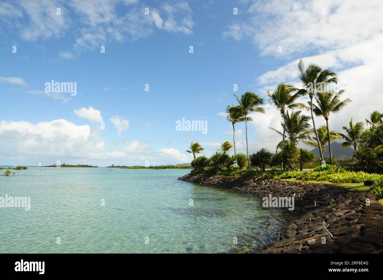Vacanza tranquilla tropicale: Palme, spiaggia e acque turchesi a Mauritius nell'Oceano Indiano Foto Stock