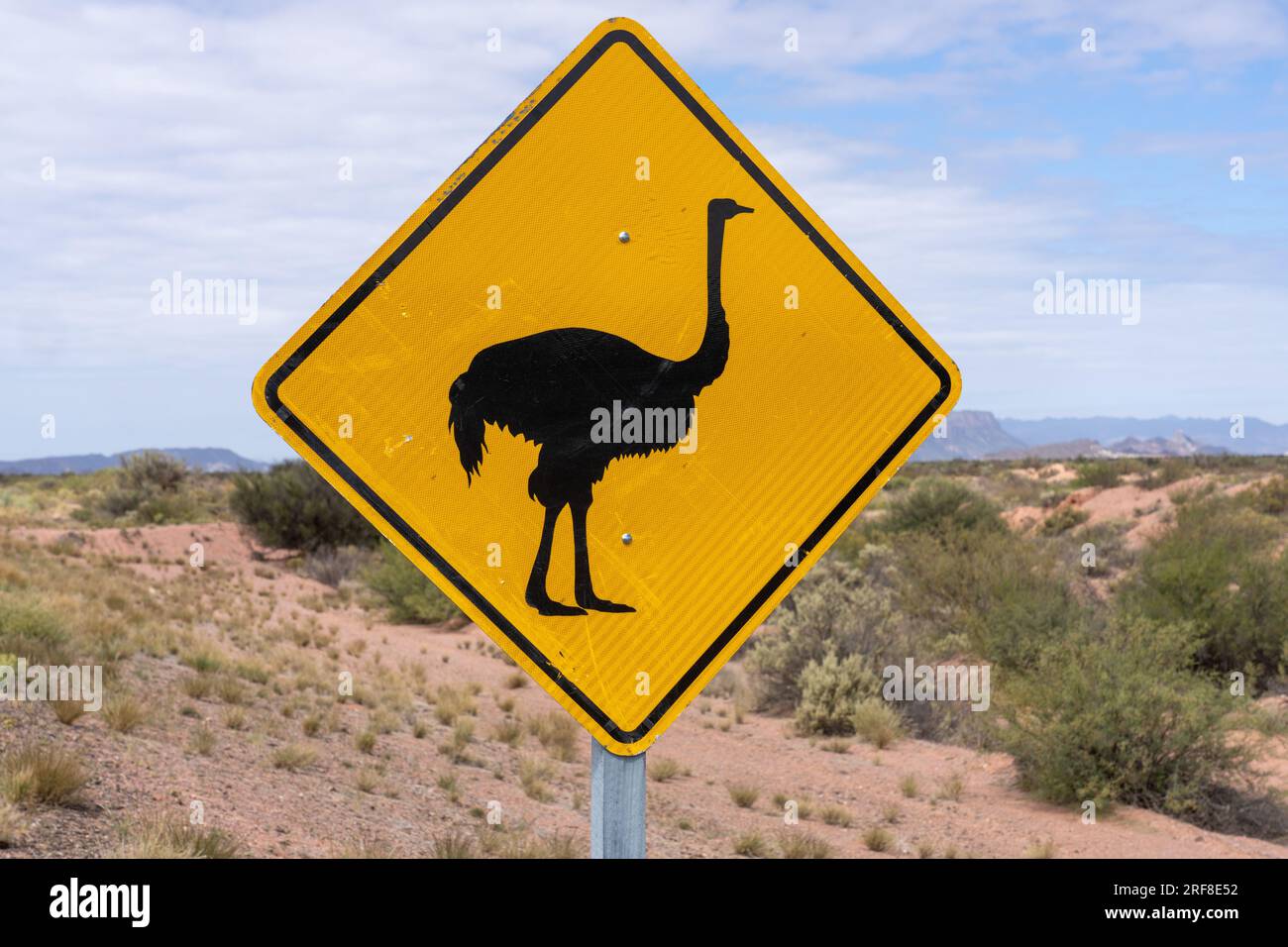 Un cartello di avvertimento per la fauna selvatica del ñandu o Rhea nel Parco Nazionale di Talampaya, provincia di la Rioja, Argentina. Foto Stock