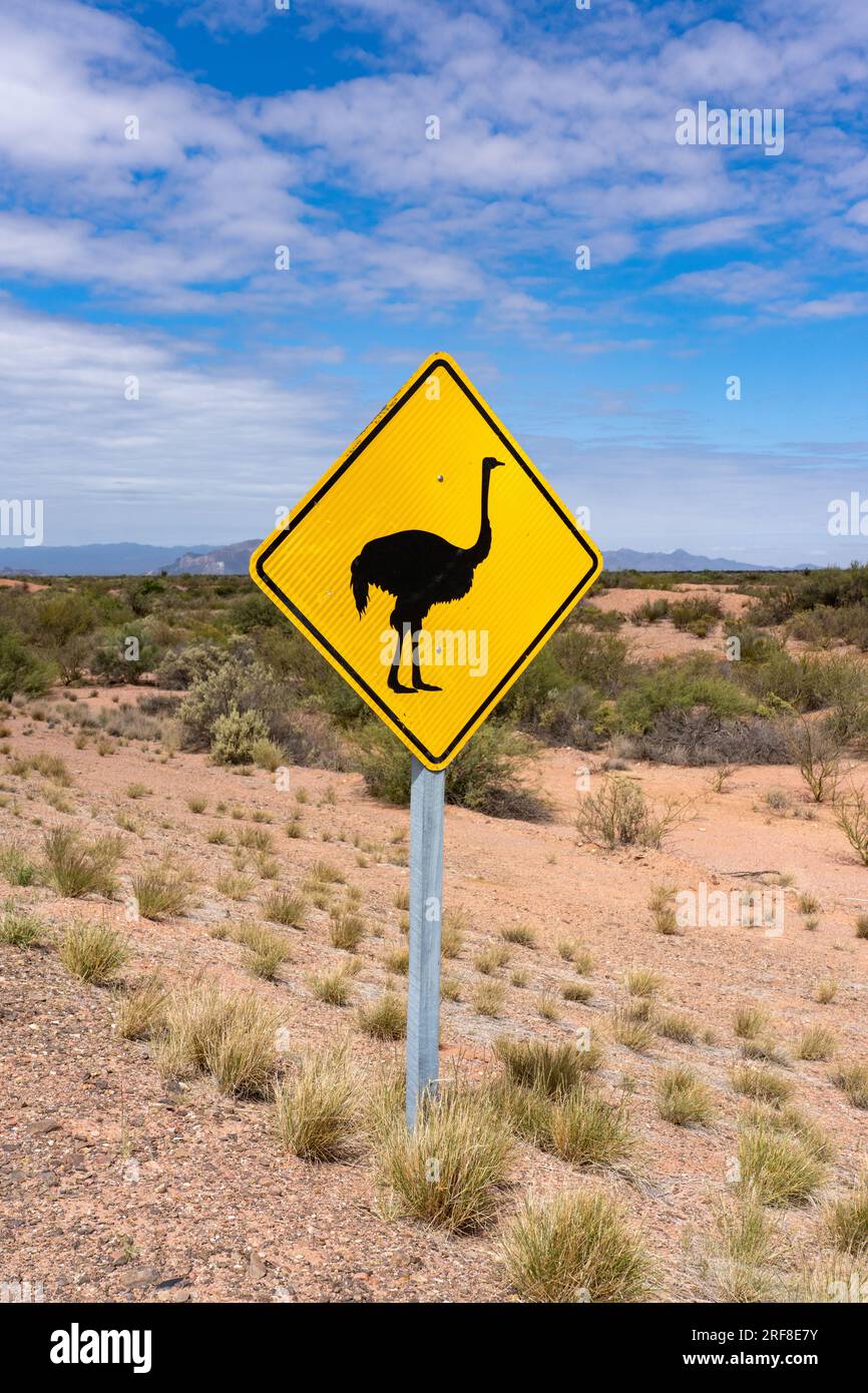 Un cartello di avvertimento per la fauna selvatica del ñandu o Rhea nel Parco Nazionale di Talampaya, provincia di la Rioja, Argentina. Foto Stock