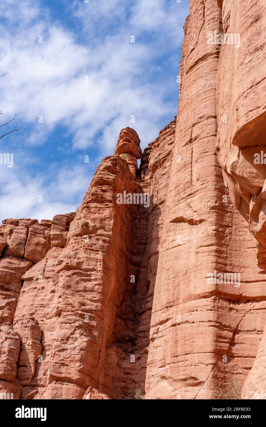 Pareti di arenaria rossa sopra il Giardino Botanico nella Gola di Talampaya nel Parco Nazionale di Talampaya in Argentina. Foto Stock