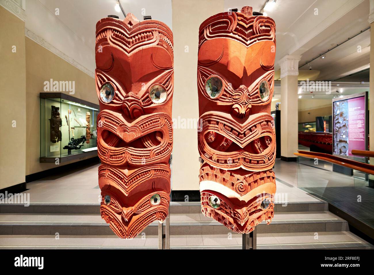 Auckland. Nuova Zelanda. Auckland War Memorial Museum. Galleria di storia naturale Maori Foto Stock