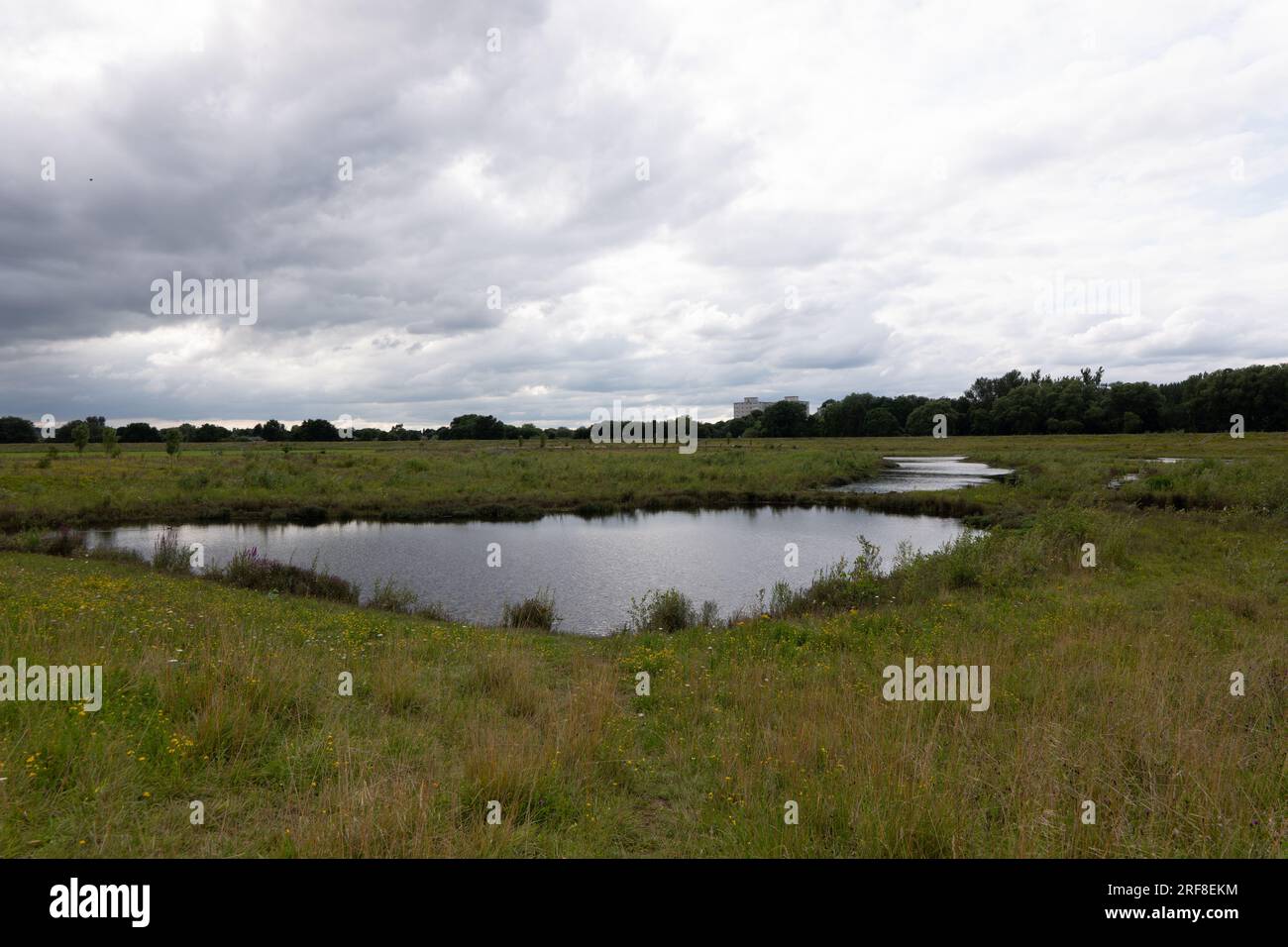 Le paludi di Kersal creano una pianura alluvionale lungo il fiume Irwell. Salford, Borough della Greater Manchester. Il fiume divide Salford e Manchester. Foto Stock