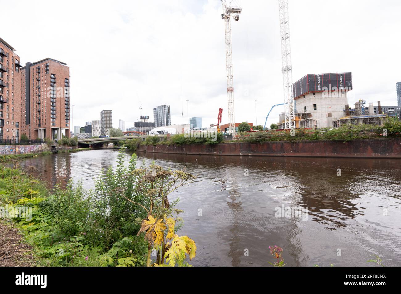 Sviluppo urbano lungo il fiume Irwell, Salford, Borough of Greater Manchester. Il fiume divide Salford e Manchester. Foto Stock