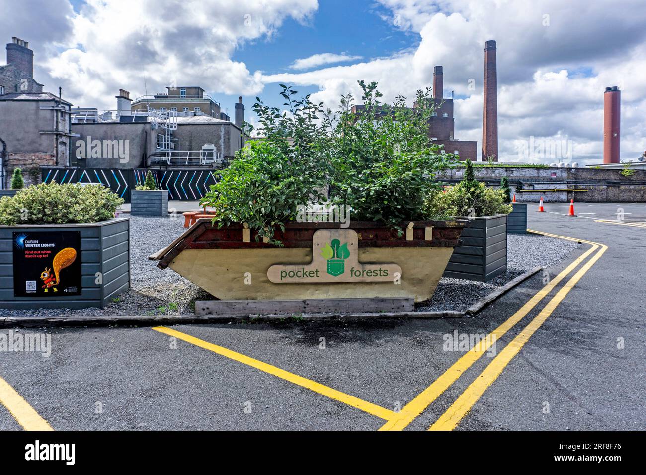 Un Skip/dumpster convertito che raddoppia come titolare di un impianto, a Dublino, Irlanda, creato da Pocket Forests, un'impresa sociale. Foto Stock