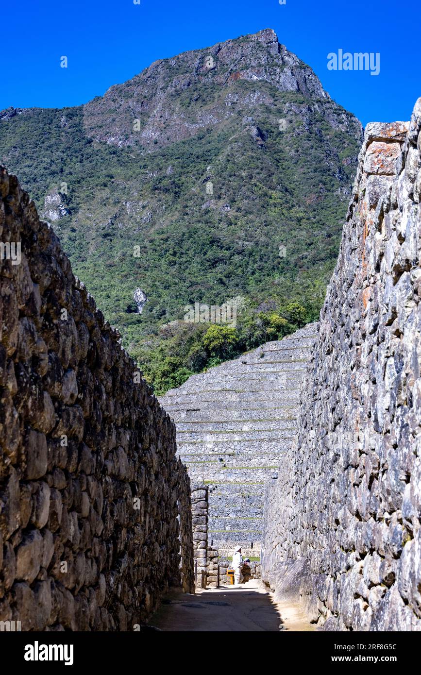 Architettura residenziale e terrazze agricole, rovine inca di Machu Picchu, Perù, Sud America Foto Stock