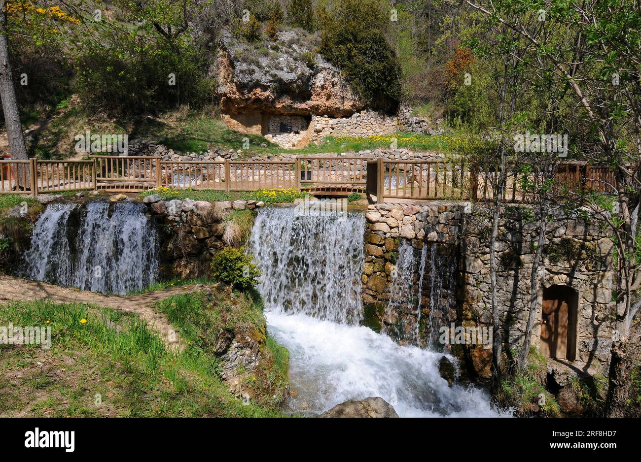 Fiume Cardener, sorgenti o sorgenti in coma i Pedra, Barcellona, Catalogna, Spagna. Il fiume Cardener è un affluente del fiume Llobregat. Foto Stock