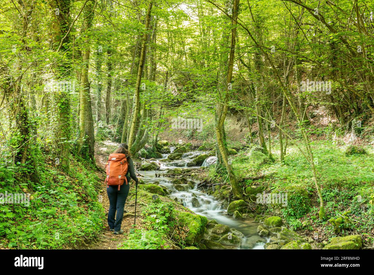 Torrent de la Masica, Vallfogona de Ripolles, Barcellona, Spagna Foto Stock