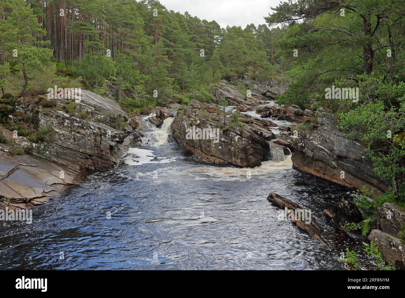 Il fiume Blackwater tra Silverbridge e Little Garve, in Scozia. Foto Stock