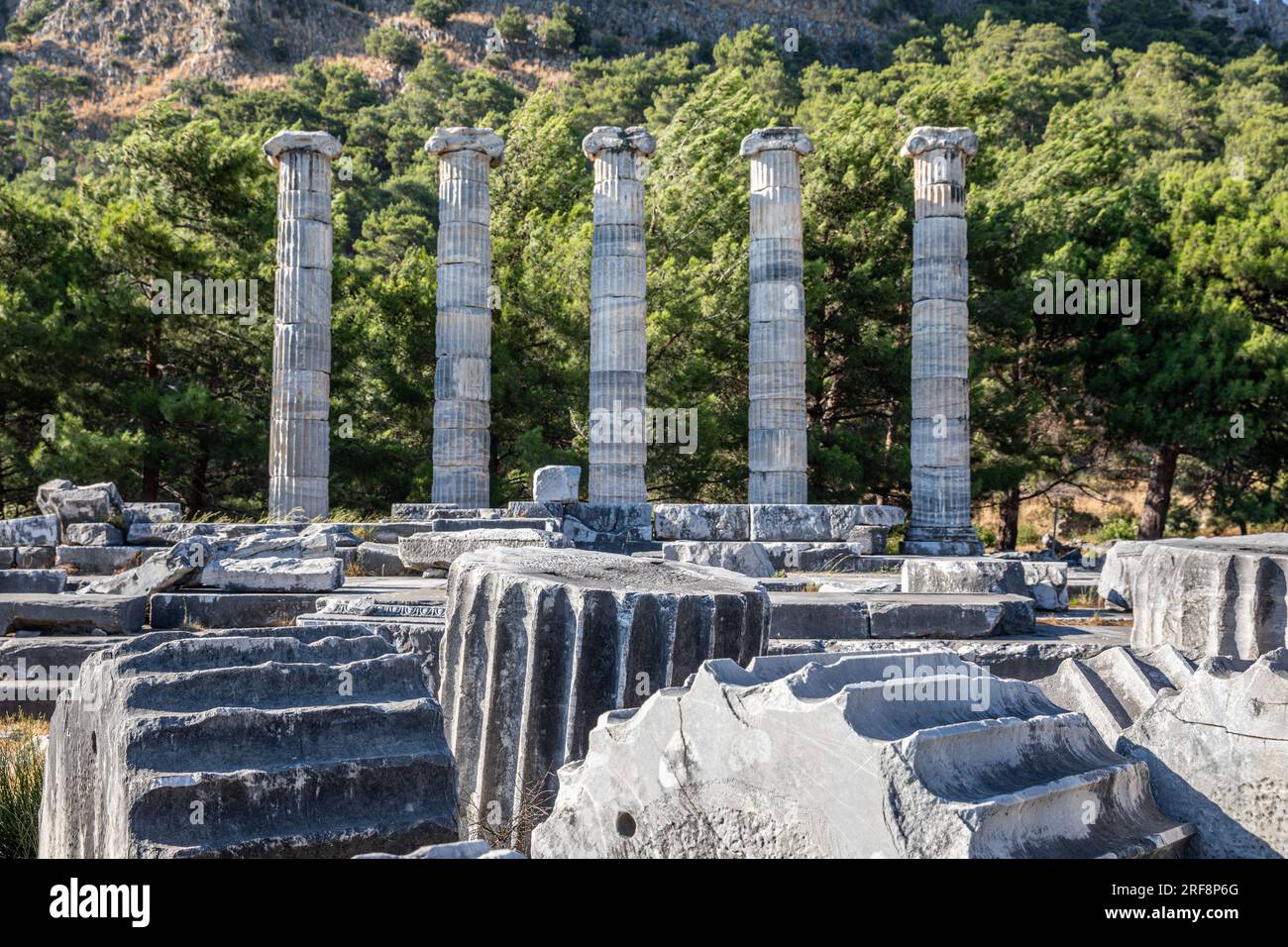 Rovine dell'antica città di Priene, colonne ioniche del Tempio di Atena Polias, Söke, Aydın, Turchia. Foto Stock