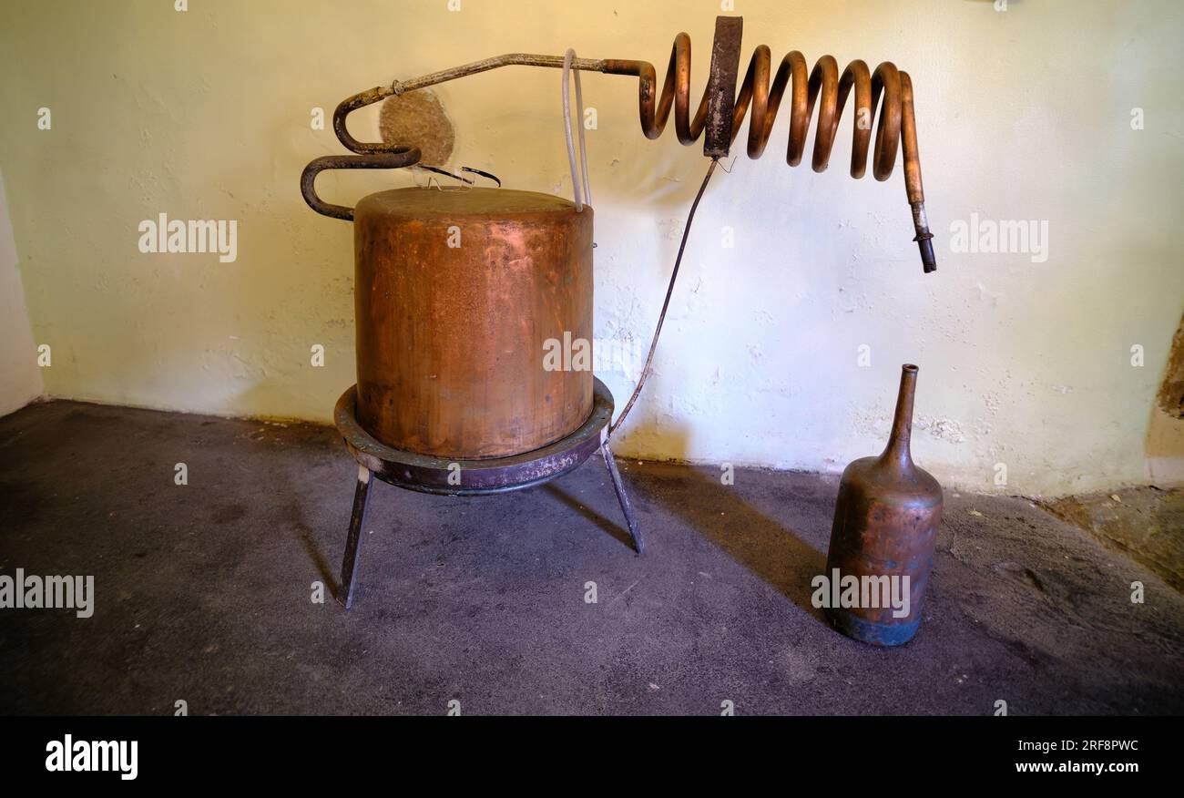 Distillazione dell'olio essenziale di lavanda e dell'idrolato. Rame  alambicco per il campo di fioritura. Nelle camere buie. un po' di luce Foto  stock - Alamy