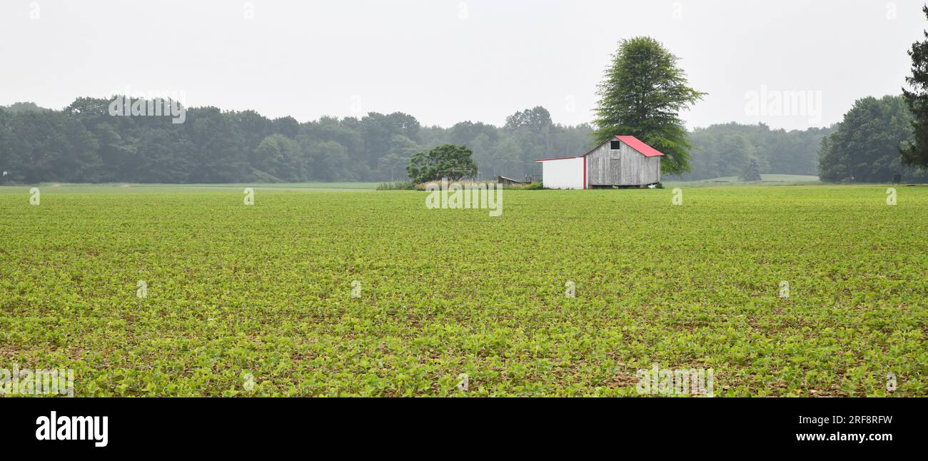 Edificio in legno con fienile Foto Stock