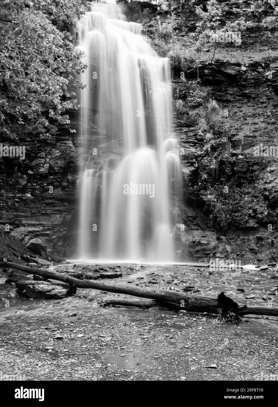 Alta cascata che scorre e cade sulle rocce nel parco forestale Foto Stock