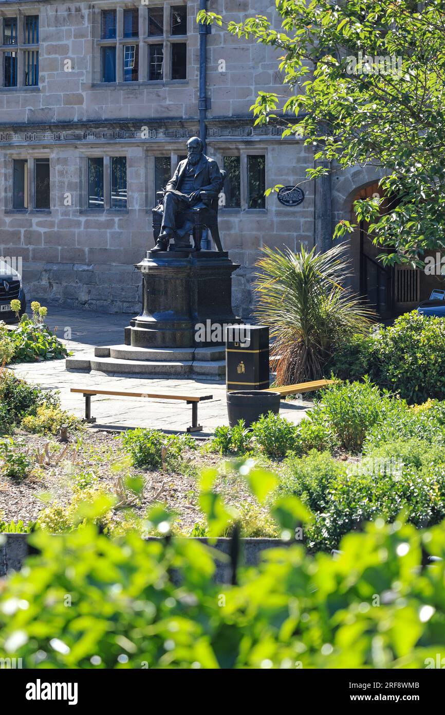 Una statua di Charles Darwin di fronte alla Shrewsbury Library, precedentemente sede della Shrewsbury School, Shrewsbury, Shropshire, Inghilterra, Regno Unito Foto Stock