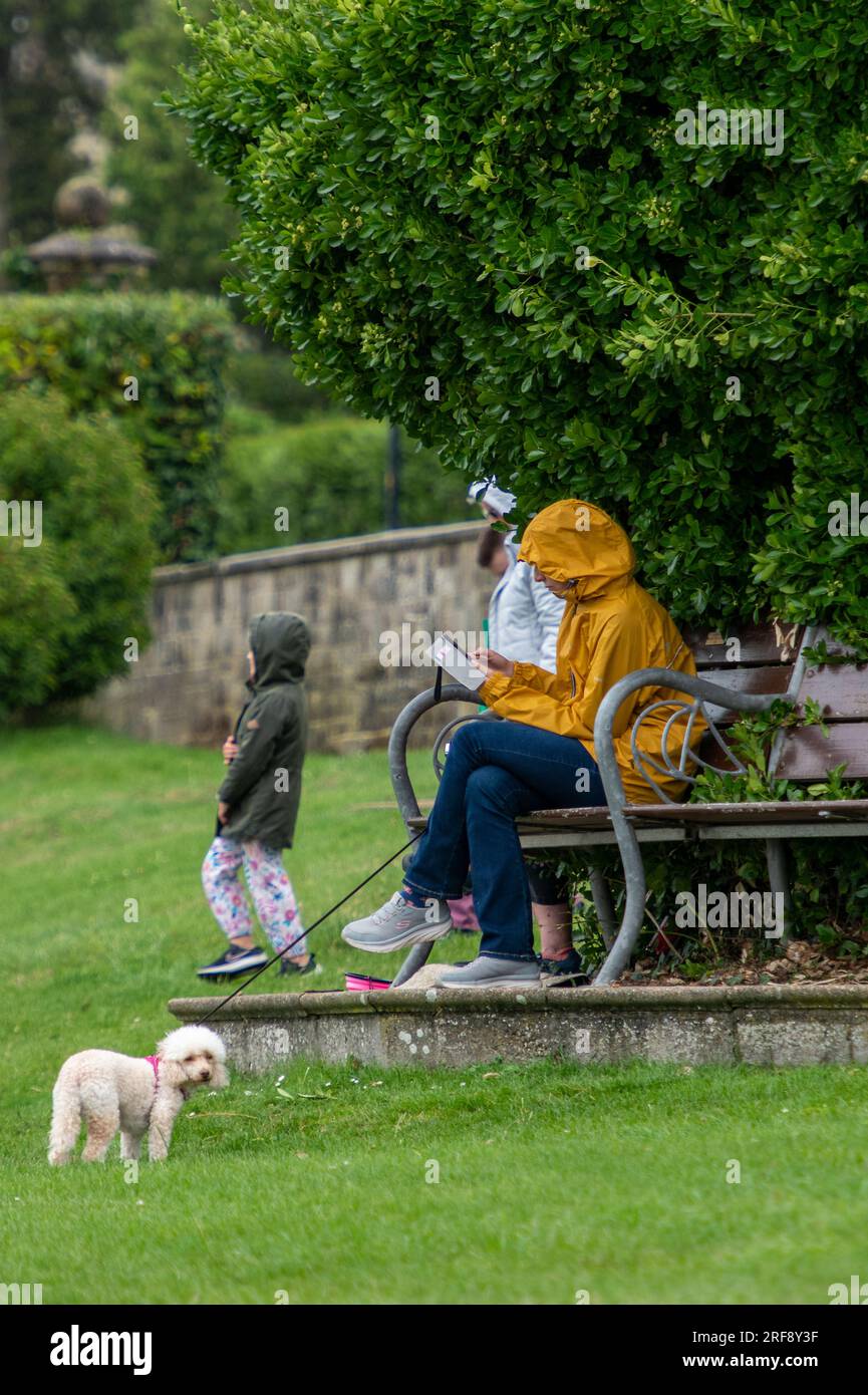 donna seduta su una panchina del parco sotto la pioggia battente leggendo il suo libro con un piccolo cane terrier su una pista. Foto Stock