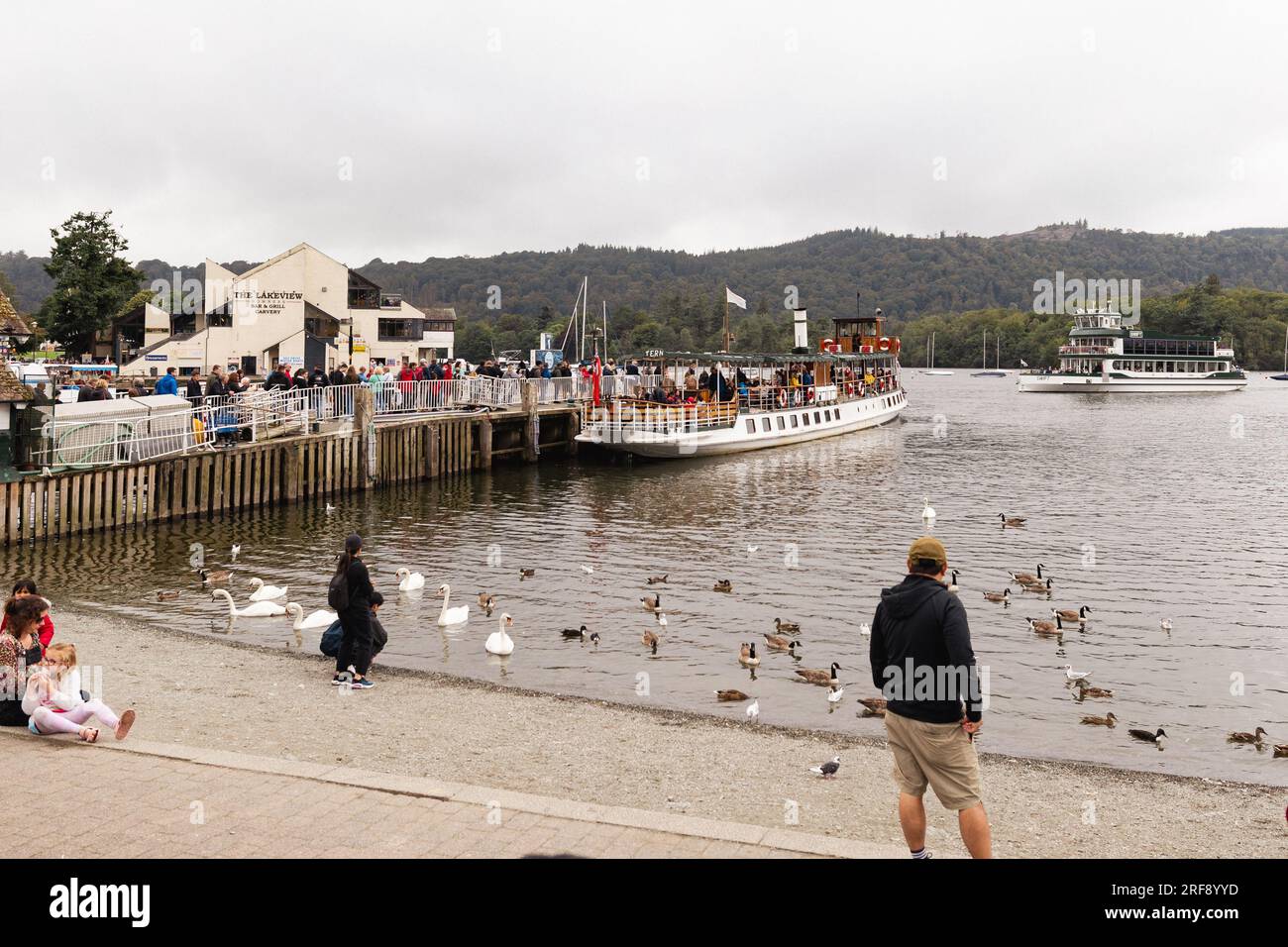 Cumbria, Regno Unito. 1 agosto 2023. Giornata umida al coperto Bowness Bay sul Lago Wiundermere Tourist que per fare crociere sul Lago Windermere . Il 'piroscafo' il Tern, costruito 1891 132 anni fa, al molo con lo Swift, costruito 2020, 4 anni, arrivando in Cumbria credito: Gordon Shoosmith/Alamy Live News Foto Stock