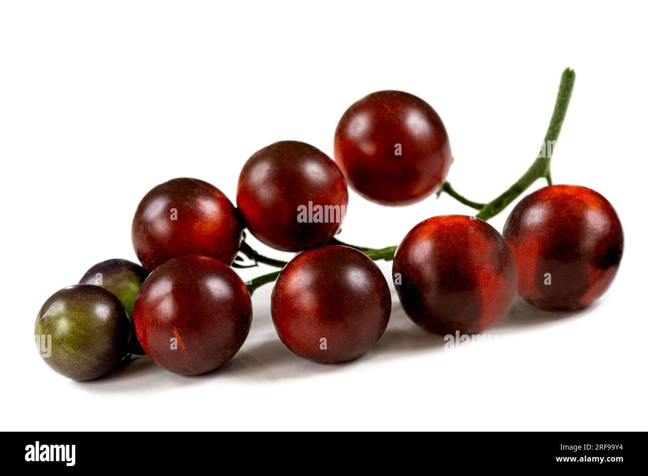 Pomodori da cocktail a grappolo nero Tomato Yoom. Foto Stock