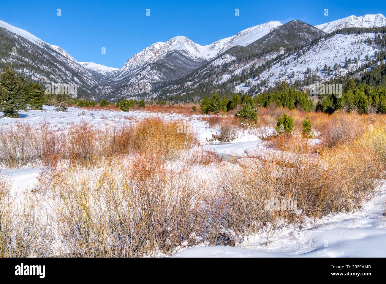 Neve invernale lungo il fiume Fall all'Horseshoe Park nel Rocky Mountain National Park, Colorado Foto Stock