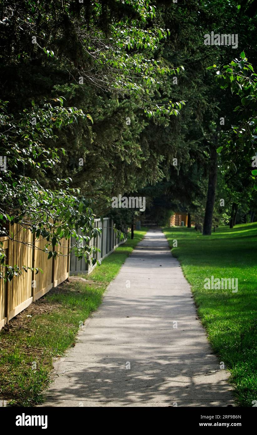 Pathway Bowmont Park Calgary, Alberta Foto Stock