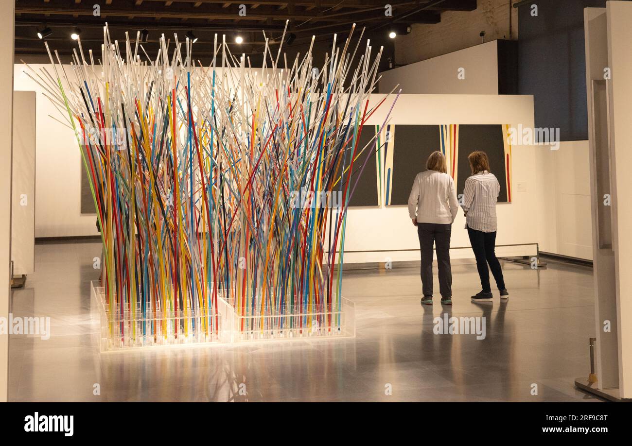 Due donne che guardano all'arte all'interno della Galleria d'Arte moderna, Palazzo forti, Verona Italia Europa Foto Stock