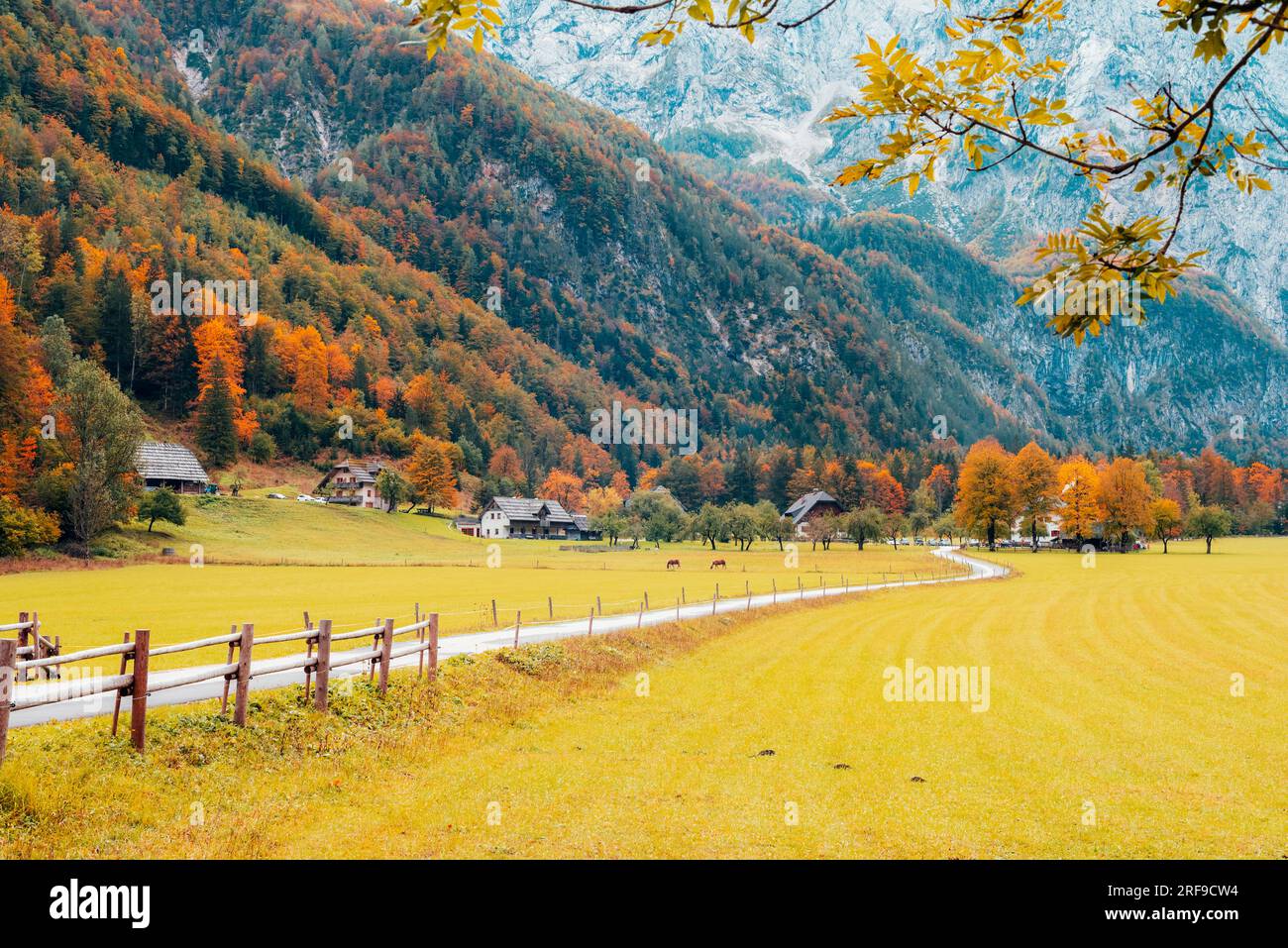 Valle di Logar o Dolina di Logarska nelle Alpi della Slovenia in autunno. Foto Stock